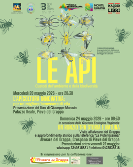 Pieve del Grappa | Le api